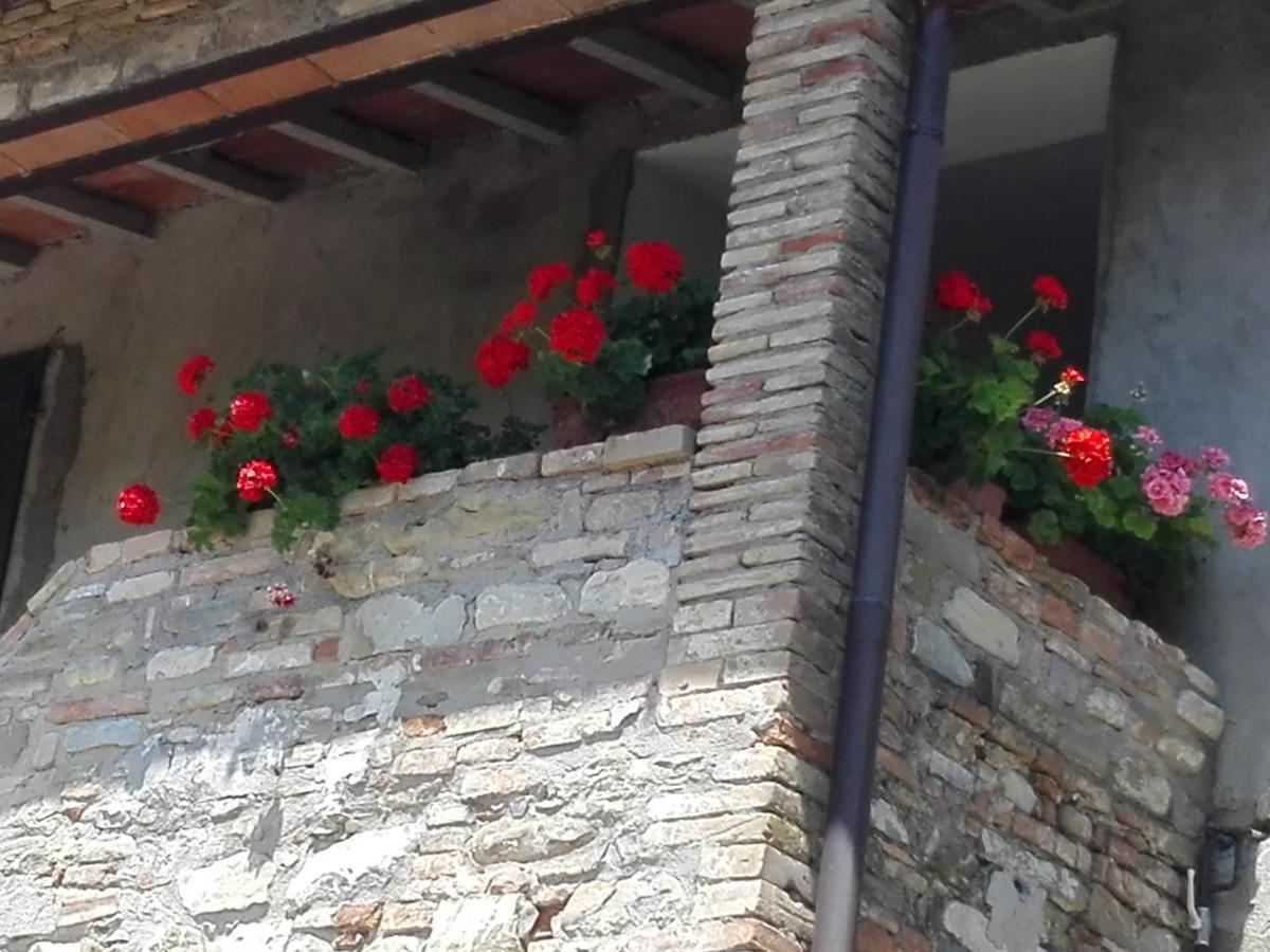 Fattoria Di Rigone Villa Coltavolino Exterior foto