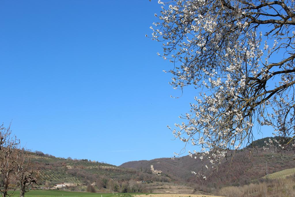 Fattoria Di Rigone Villa Coltavolino Exterior foto