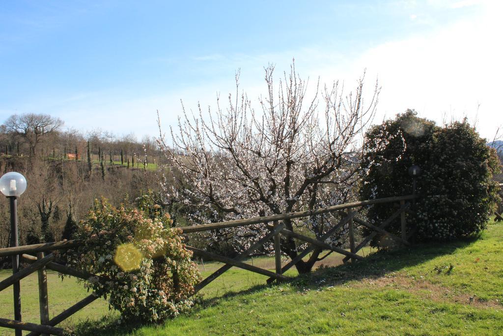 Fattoria Di Rigone Villa Coltavolino Exterior foto