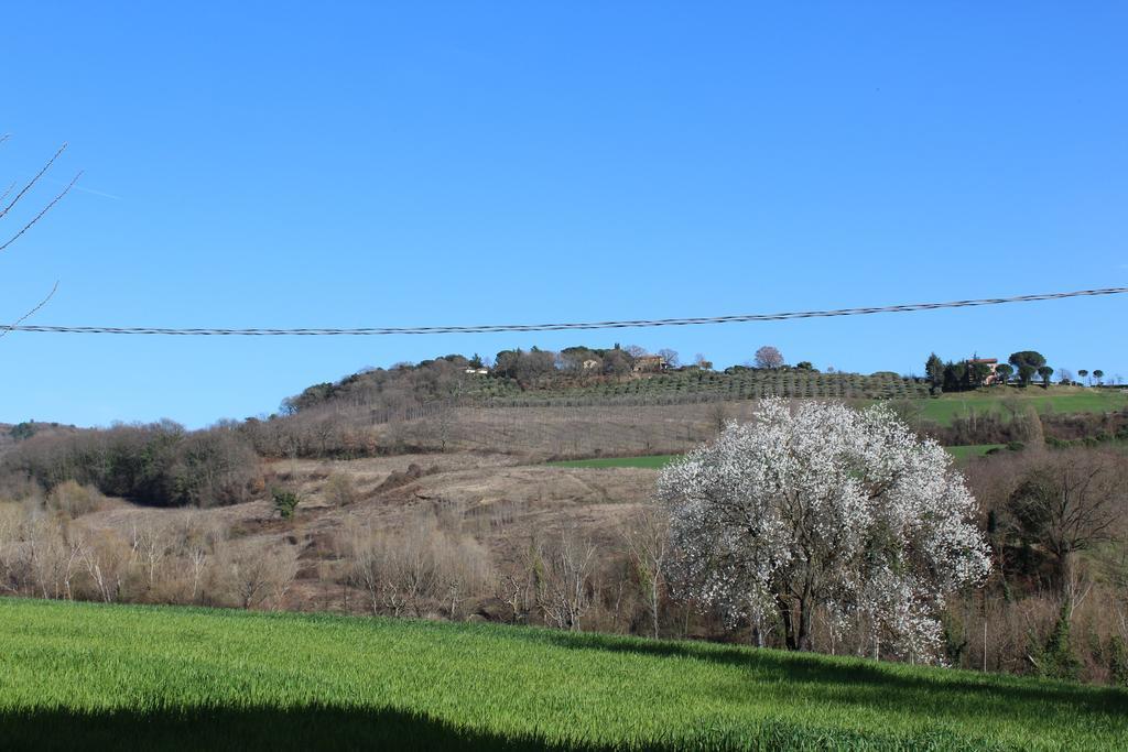 Fattoria Di Rigone Villa Coltavolino Exterior foto