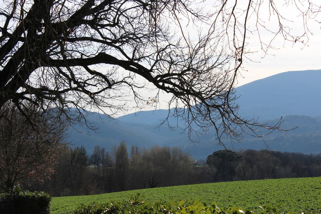 Fattoria Di Rigone Villa Coltavolino Exterior foto
