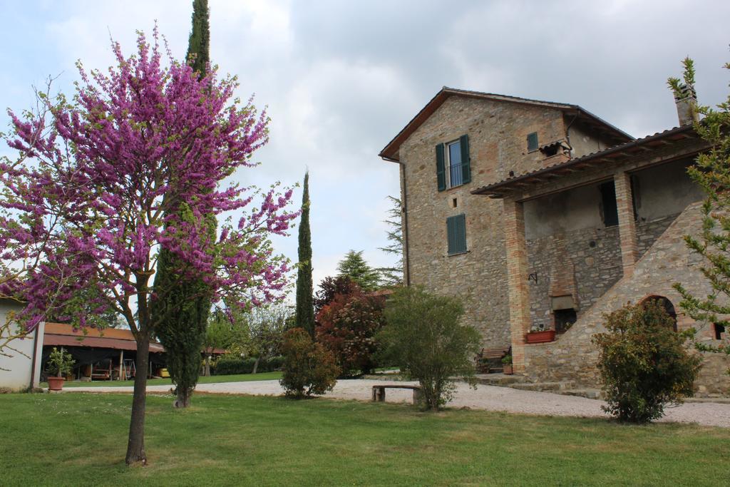 Fattoria Di Rigone Villa Coltavolino Exterior foto