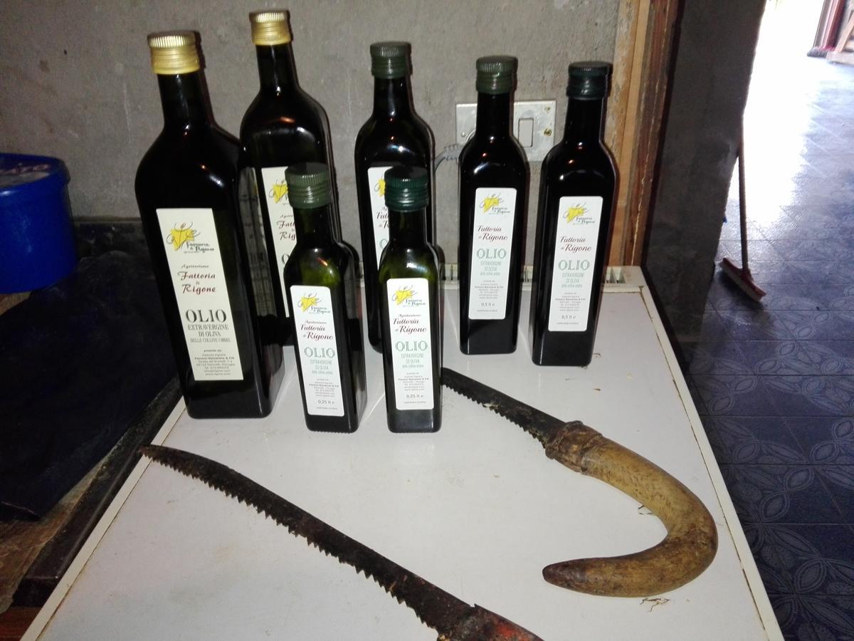 Fattoria Di Rigone Villa Coltavolino Exterior foto